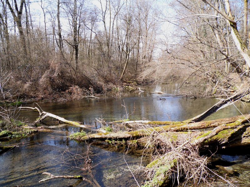 Parco del ticino: 21.3.13